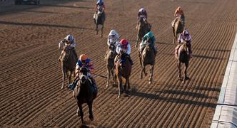 2024 Holy Bull Stakes Betting Odds and Contenders Preview