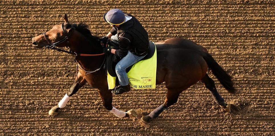 Honor Marie: Belmont Stakes Horse Odds, History and Prediction