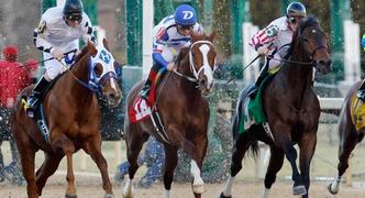 2024 Sunland Park Derby Betting Odds and Contenders Preview