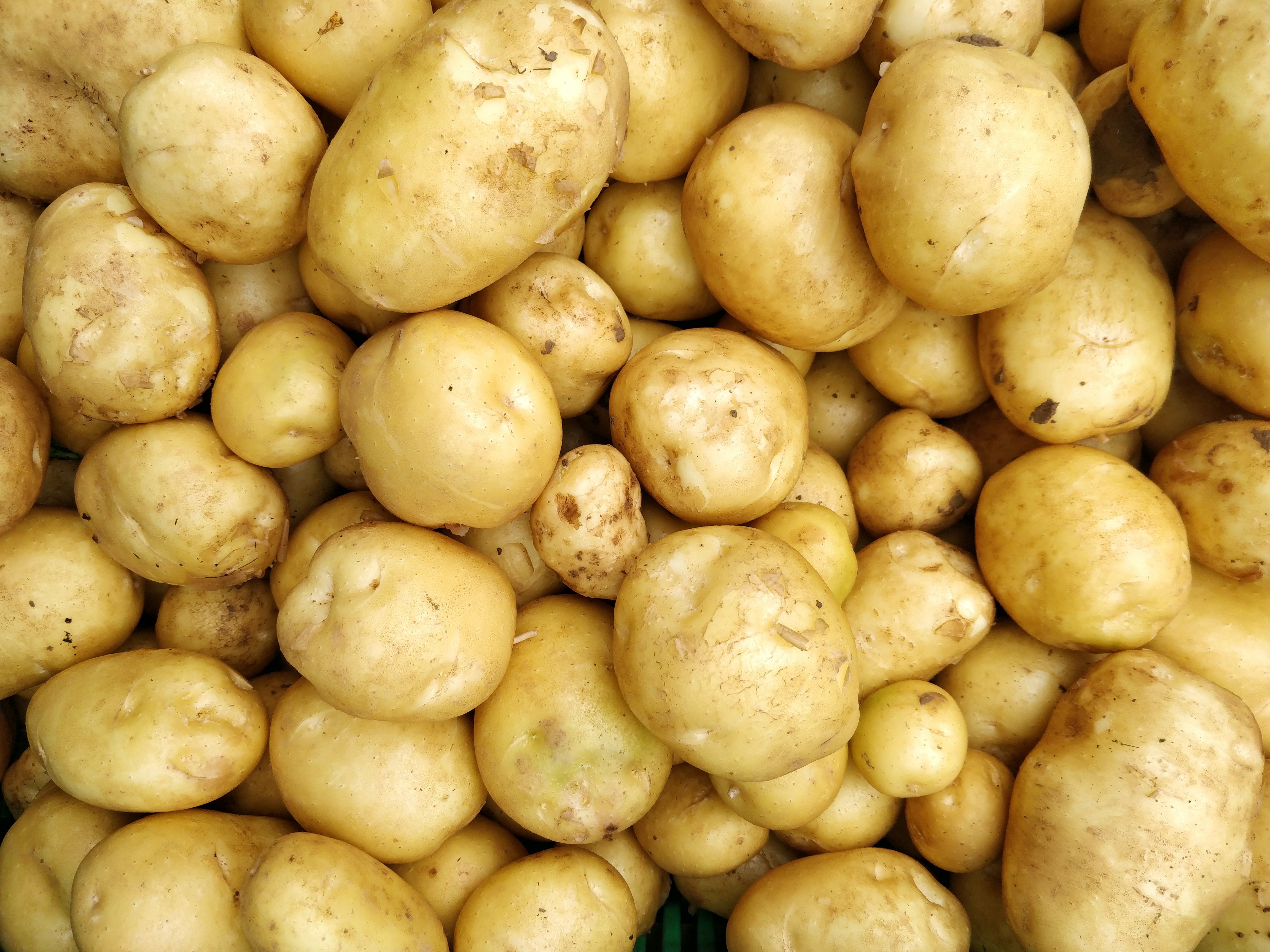 many potatoes