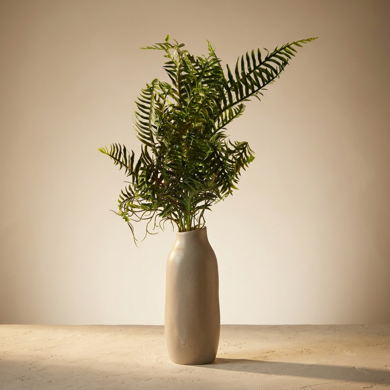 Sago Cycas Grass 