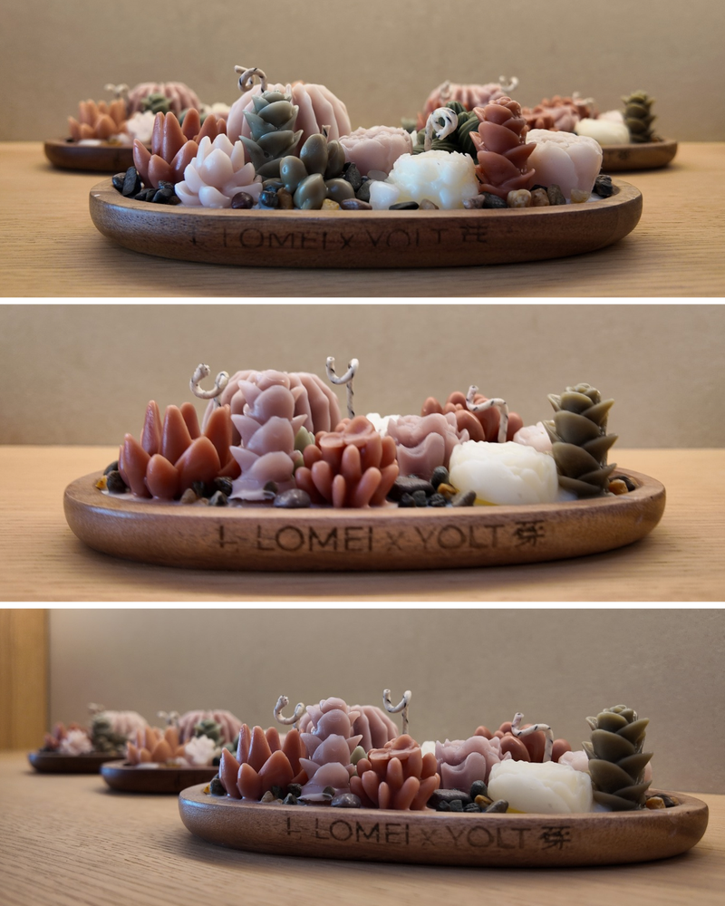 Set decorativo Suculentas Rosa — vista 2