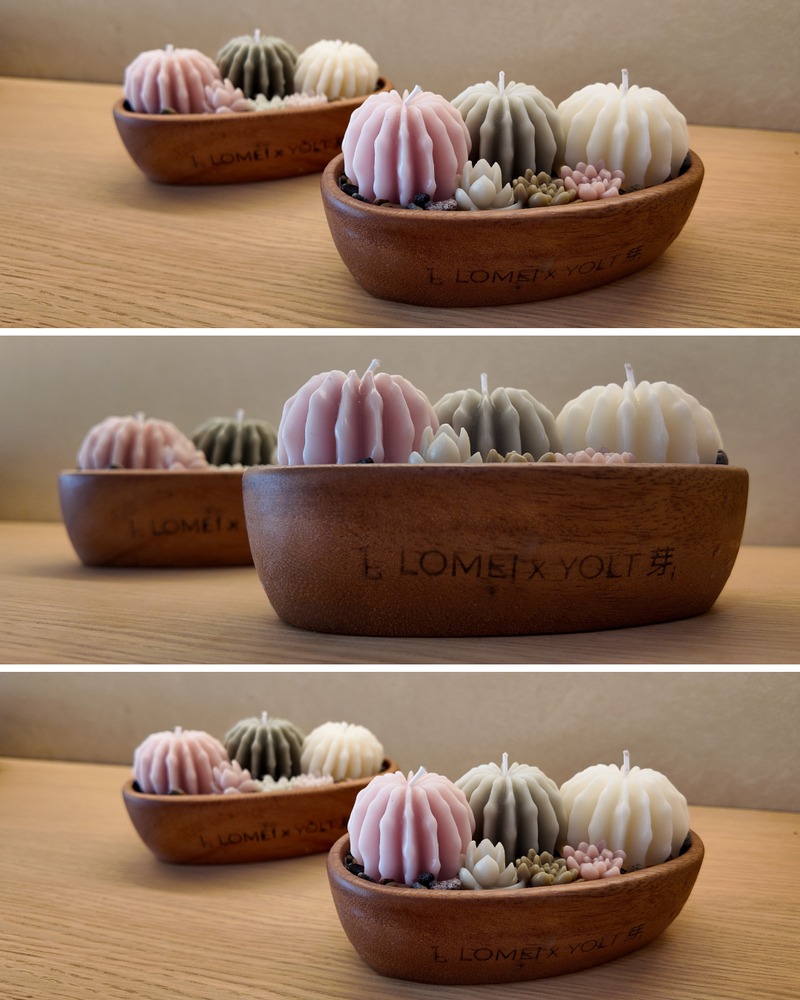 Set decorativo Jardin botanico Rosa — vista 2