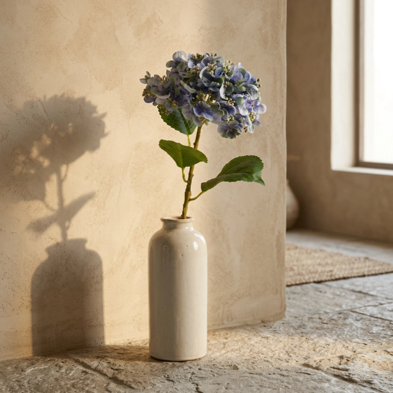Hydrangea