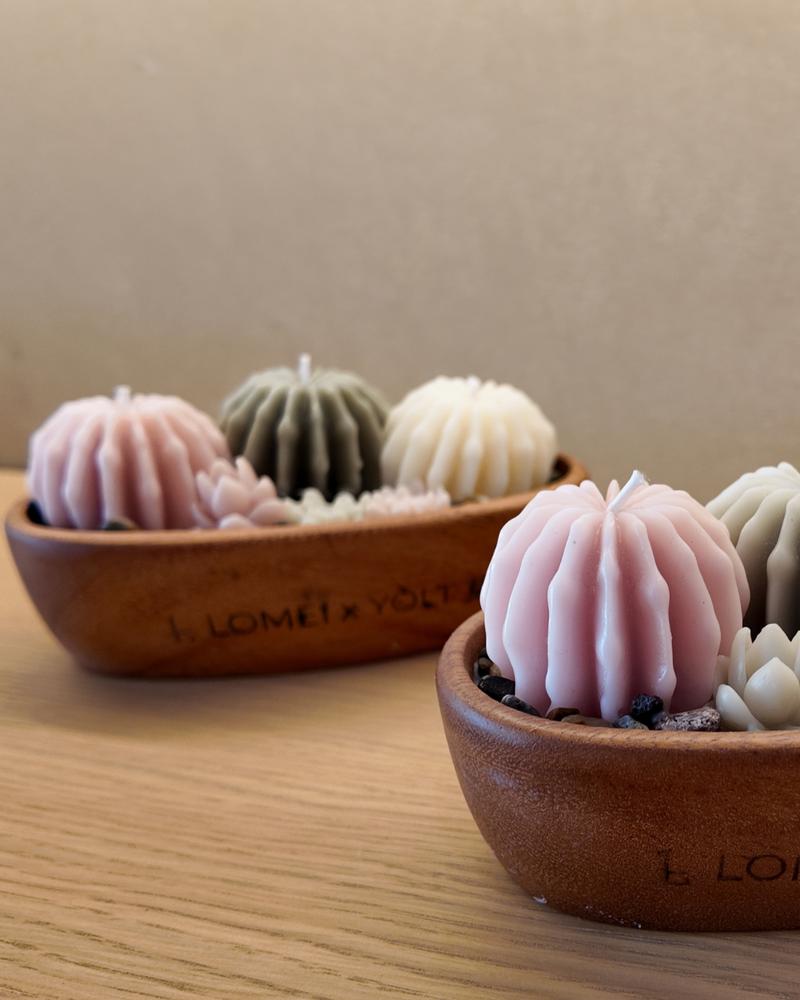 Set decorativo Jardin botanico Rosa