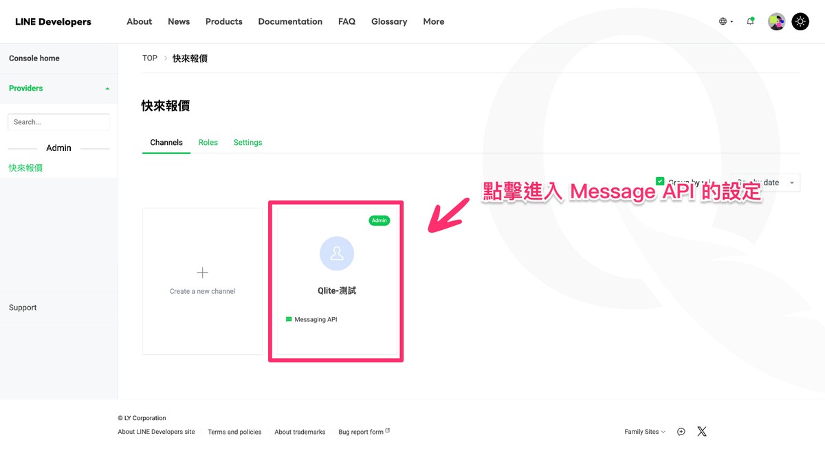 LINE Developers Console 中已自動建立好的 Channel 概覽畫面