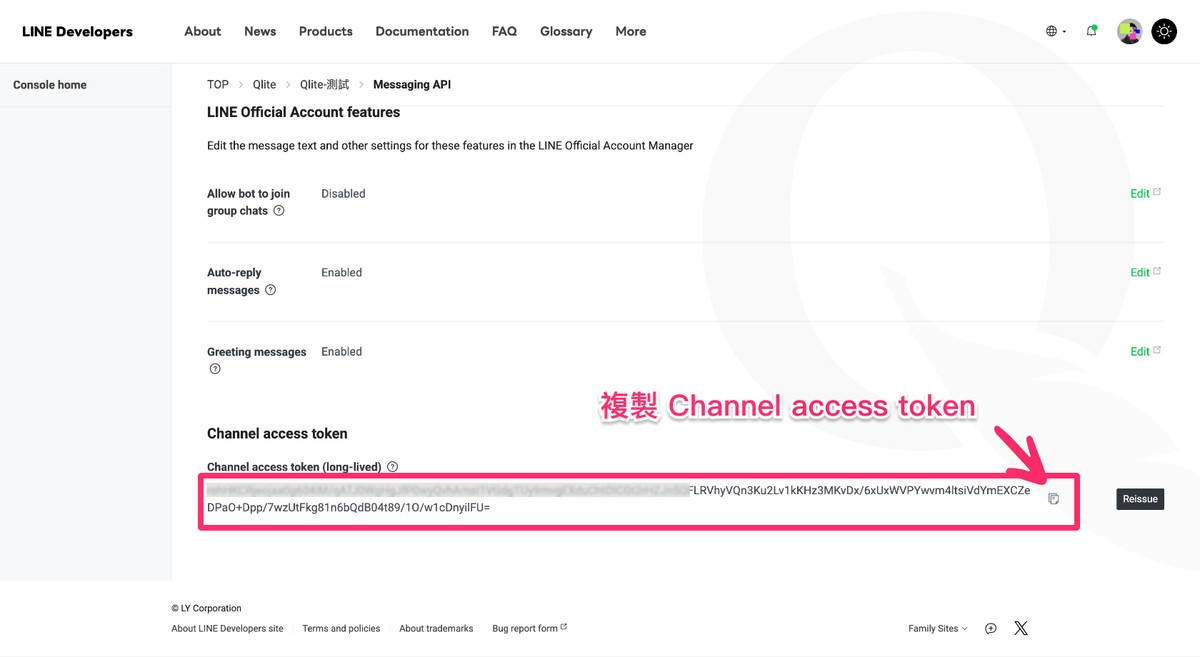 Messaging API 頁面底部 Channel access token 區塊與 Issue 按鈕