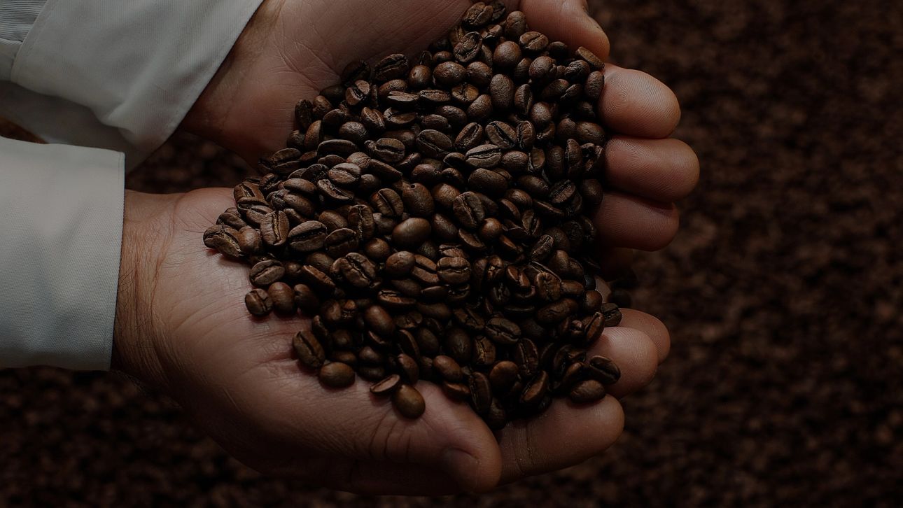 Mãos em concha seguram grãos de café torrados sobre um fundo coberto de mais grãos.
