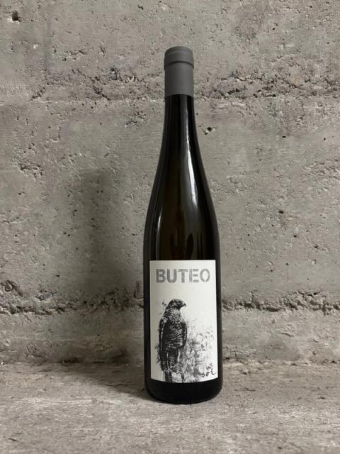 Buteo 2021