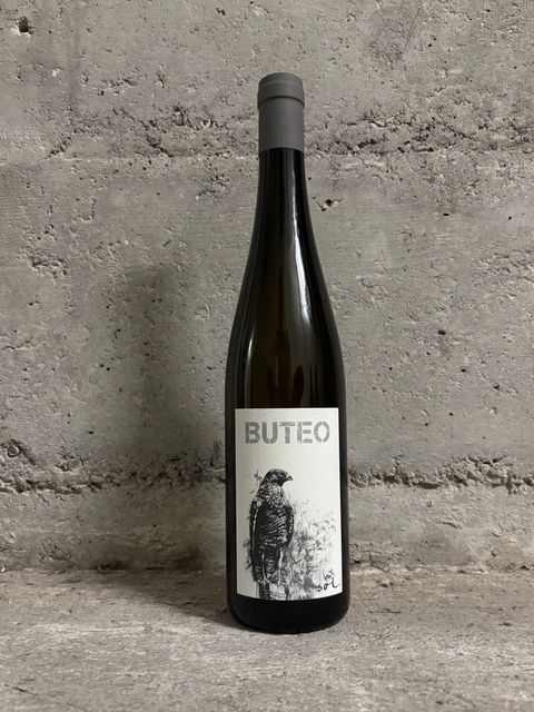 Buteo 2021