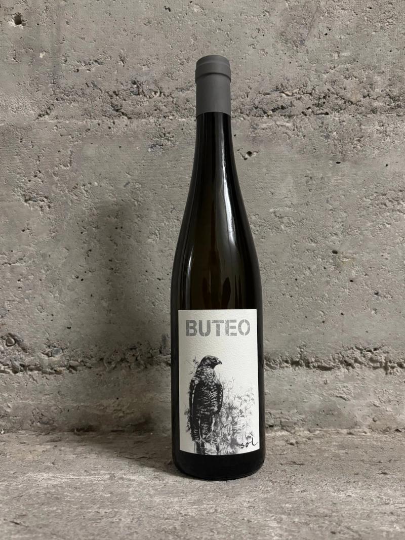 Gindl Michael Weinviertel Buteo Grüner Veltliner 2021