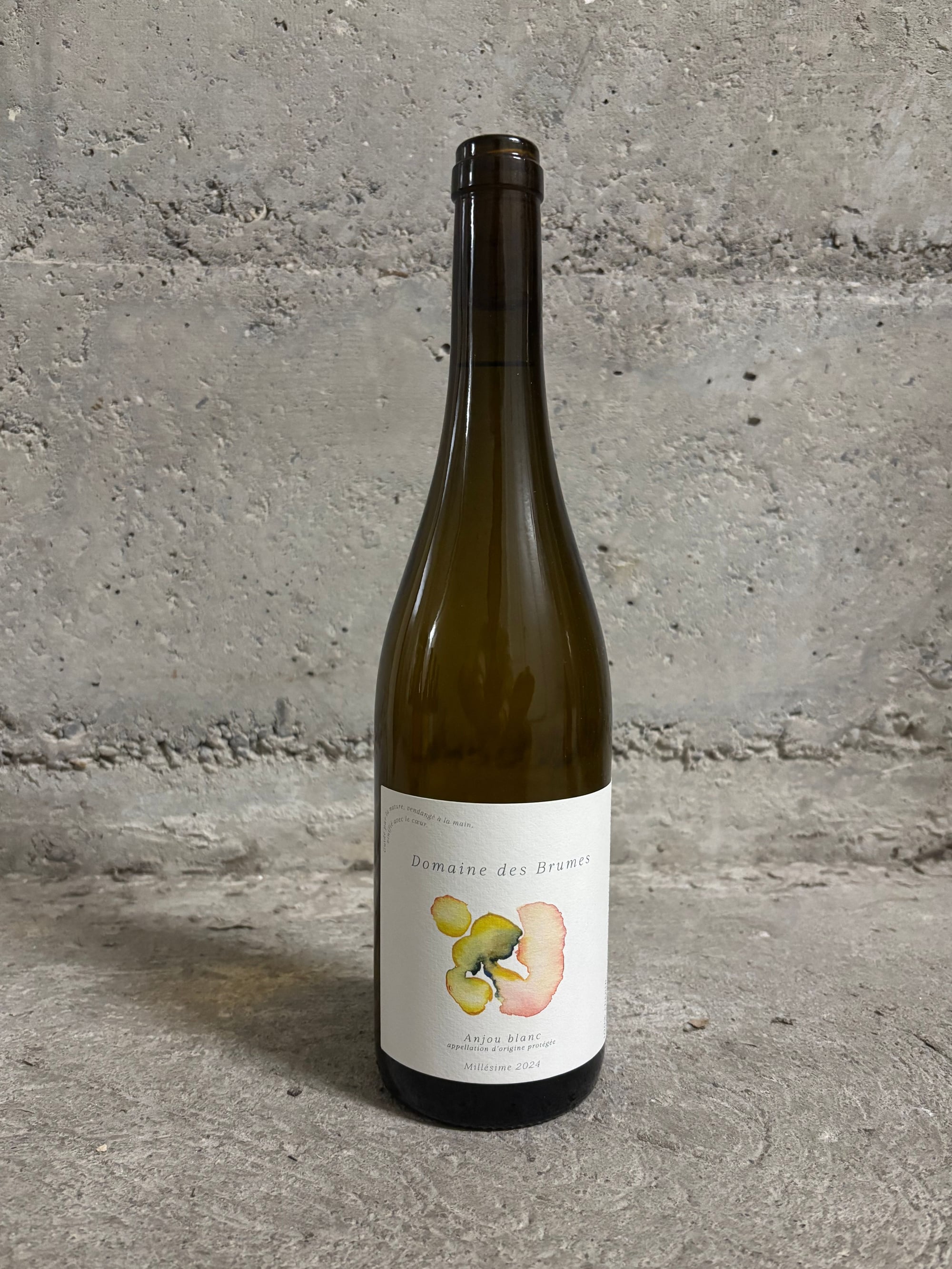 Anjou blanc 2024