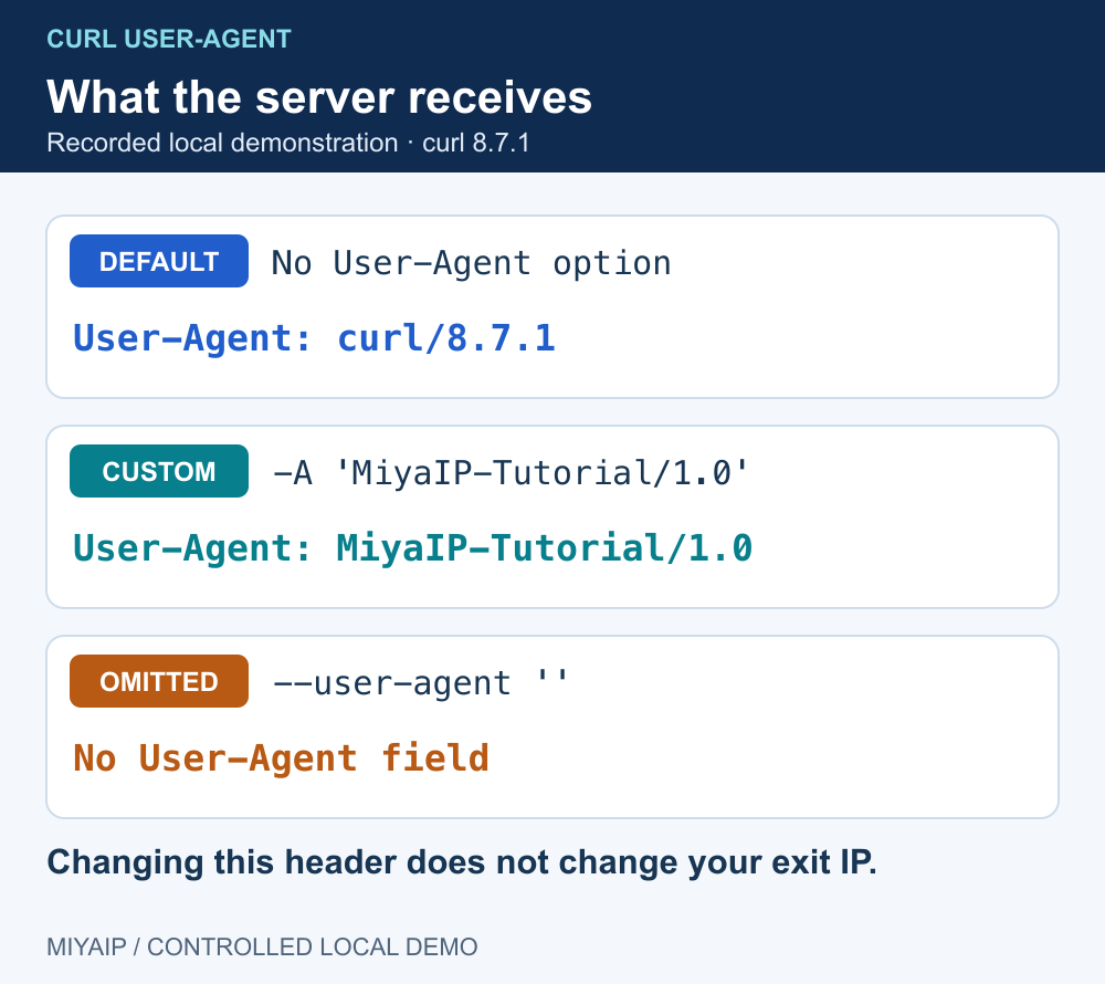 本地三次请求展示默认、自定义和省略 curl User-Agent 的结果