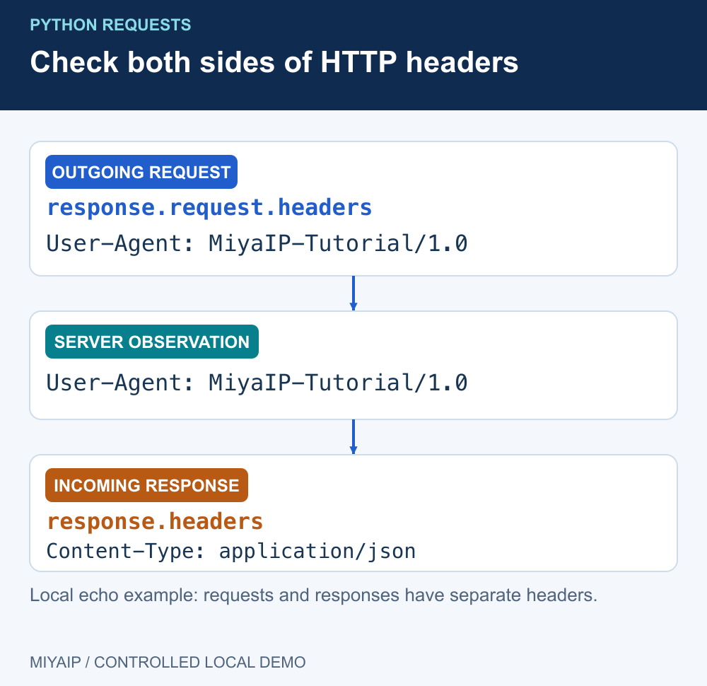 发出请求头、服务器观测的 User-Agent 与收到的响应头