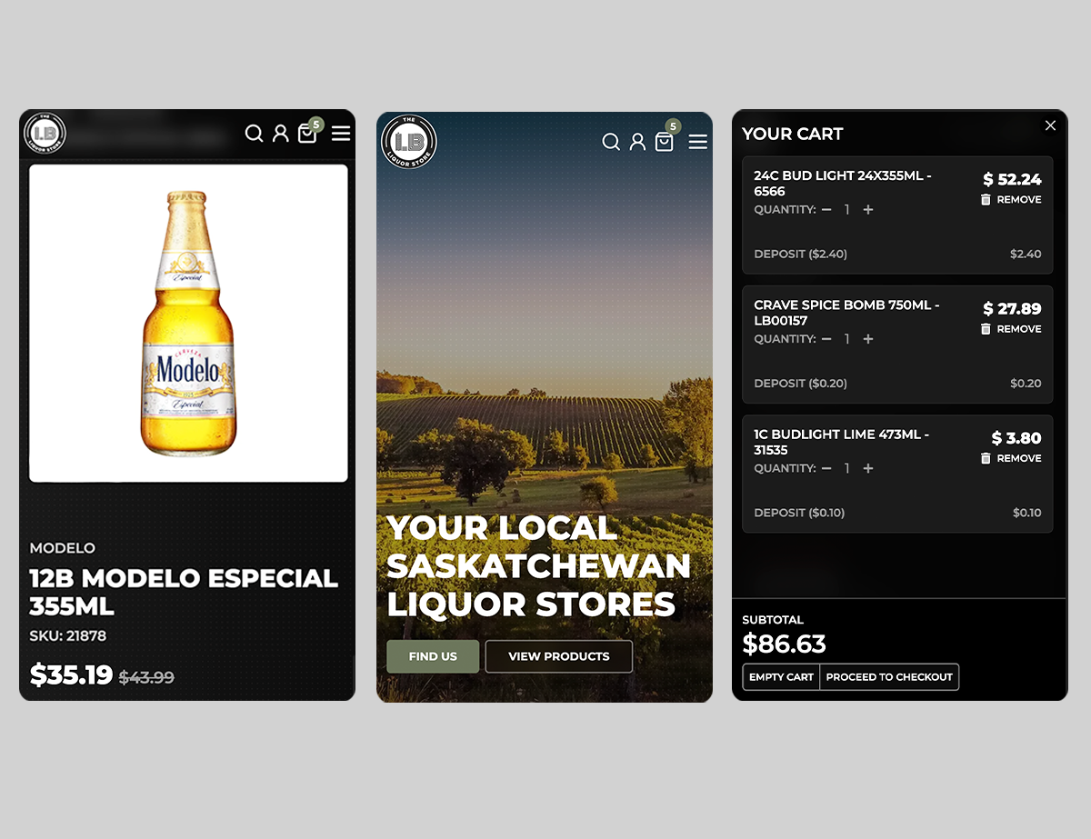 Lightspeed E-commerce Web Design