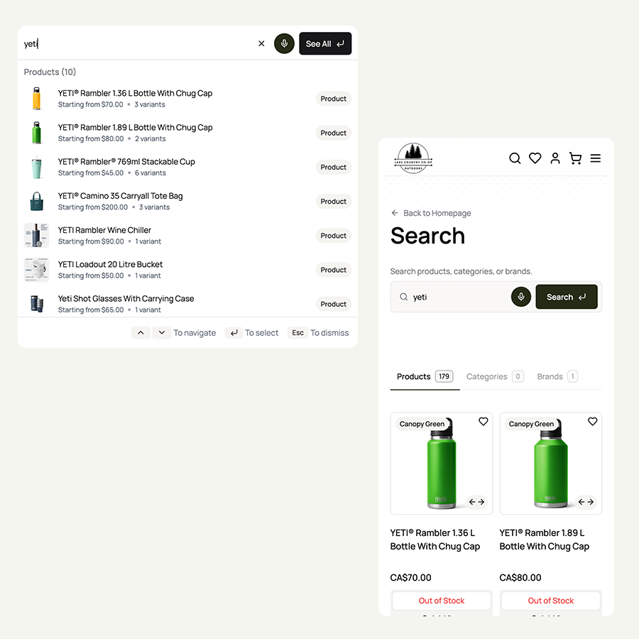 AI-powered ecommerce search capabilities