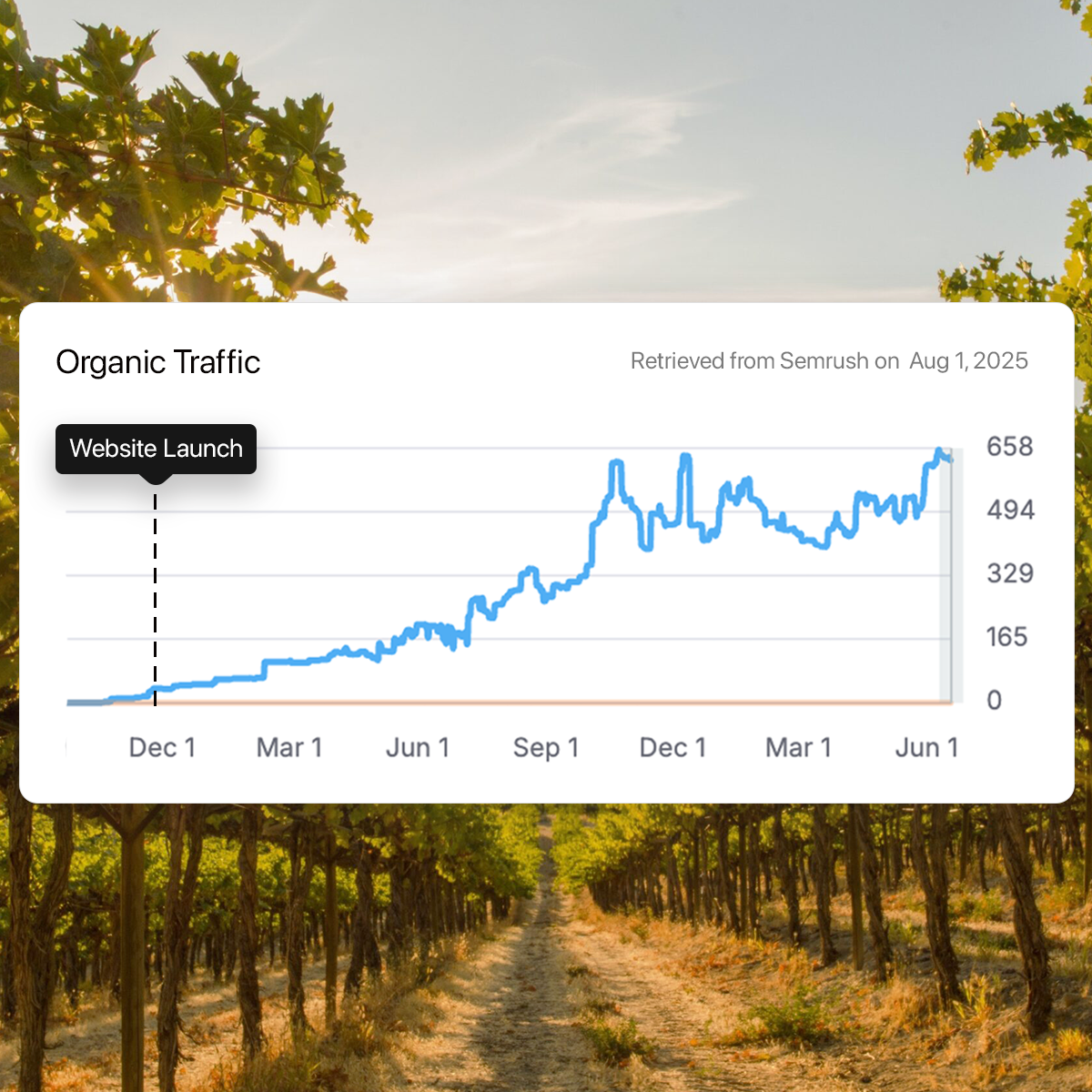 The LB Liquor store SEO results