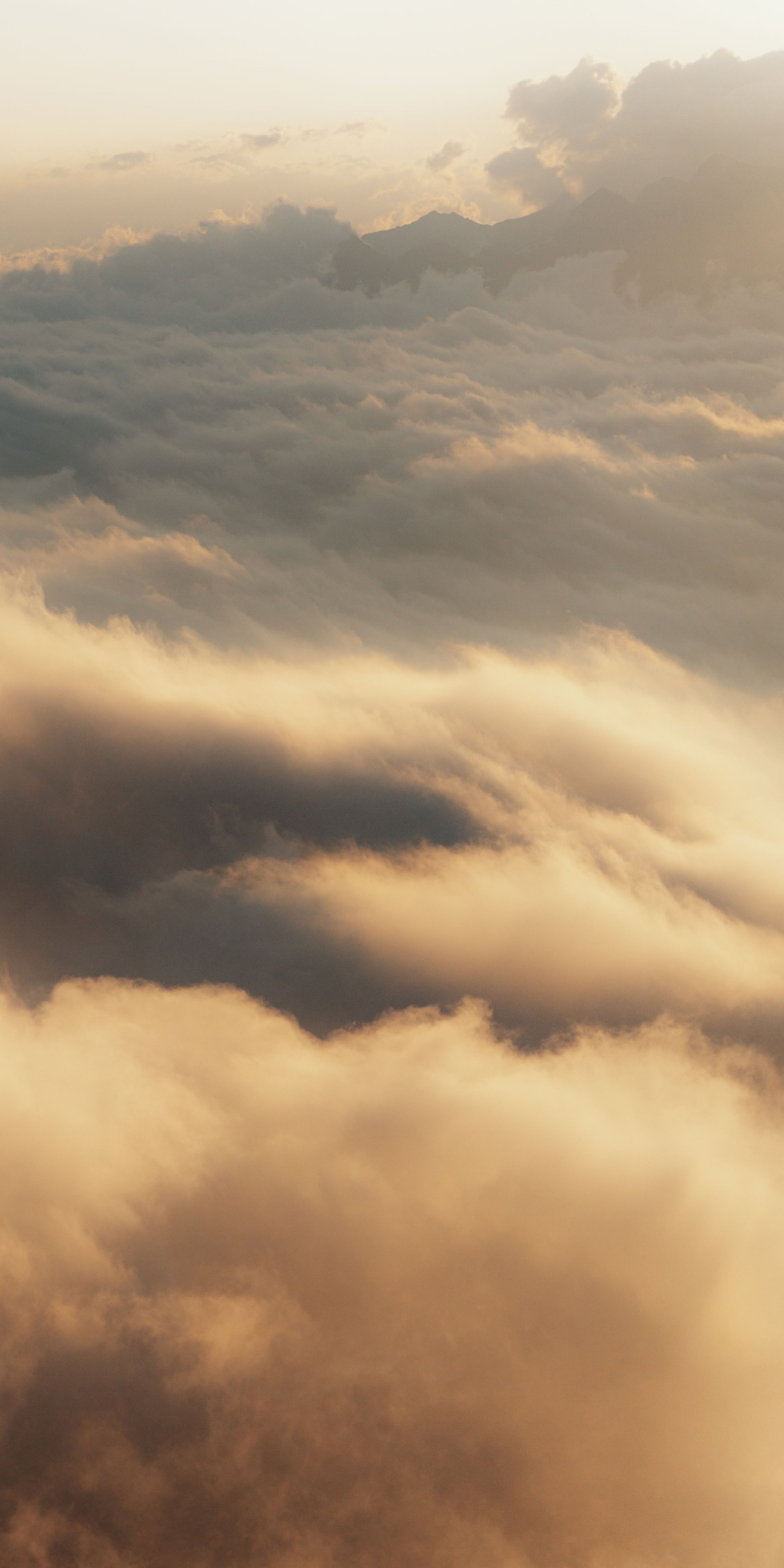 Perspectives Capital Advisory
