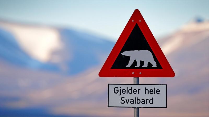 Polar bear sign in Longyearbyen