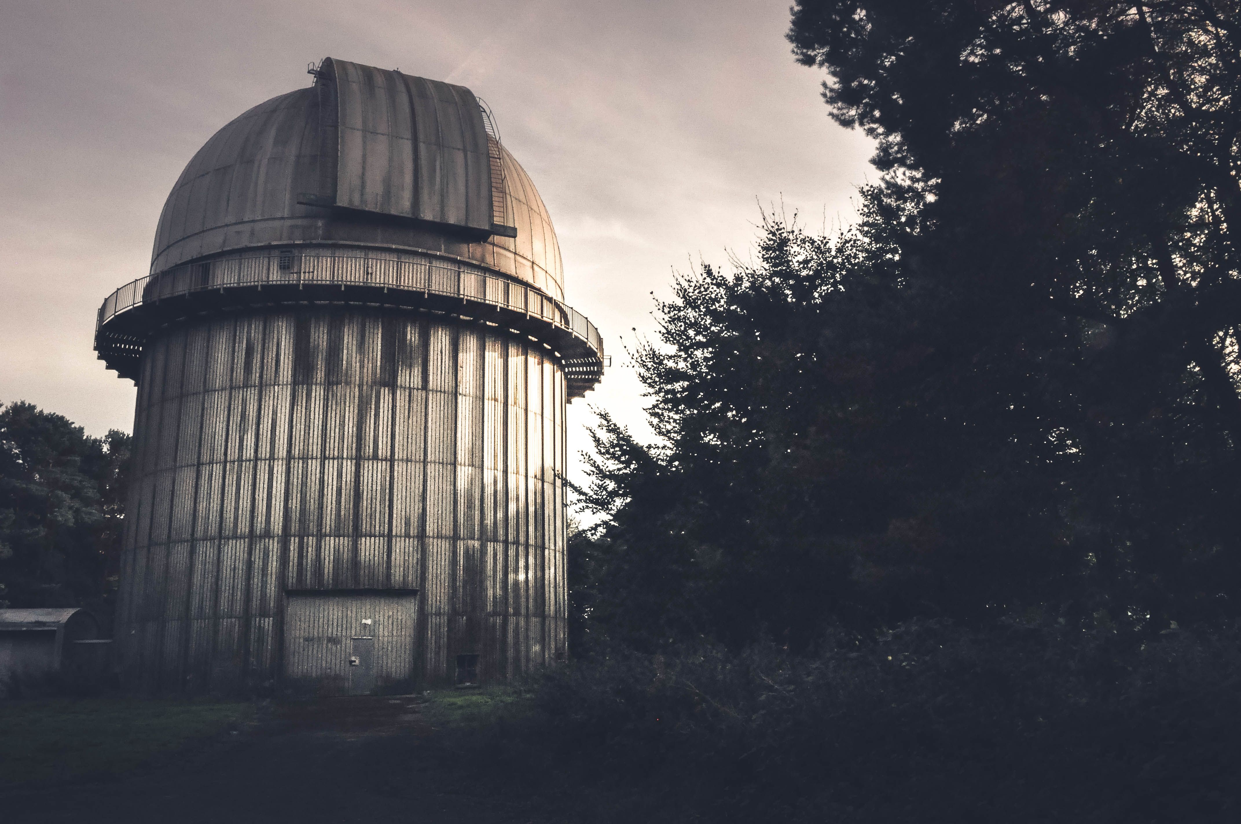 Cover Image for The empty lair