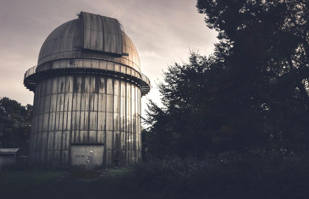 Cover Image for The empty lair