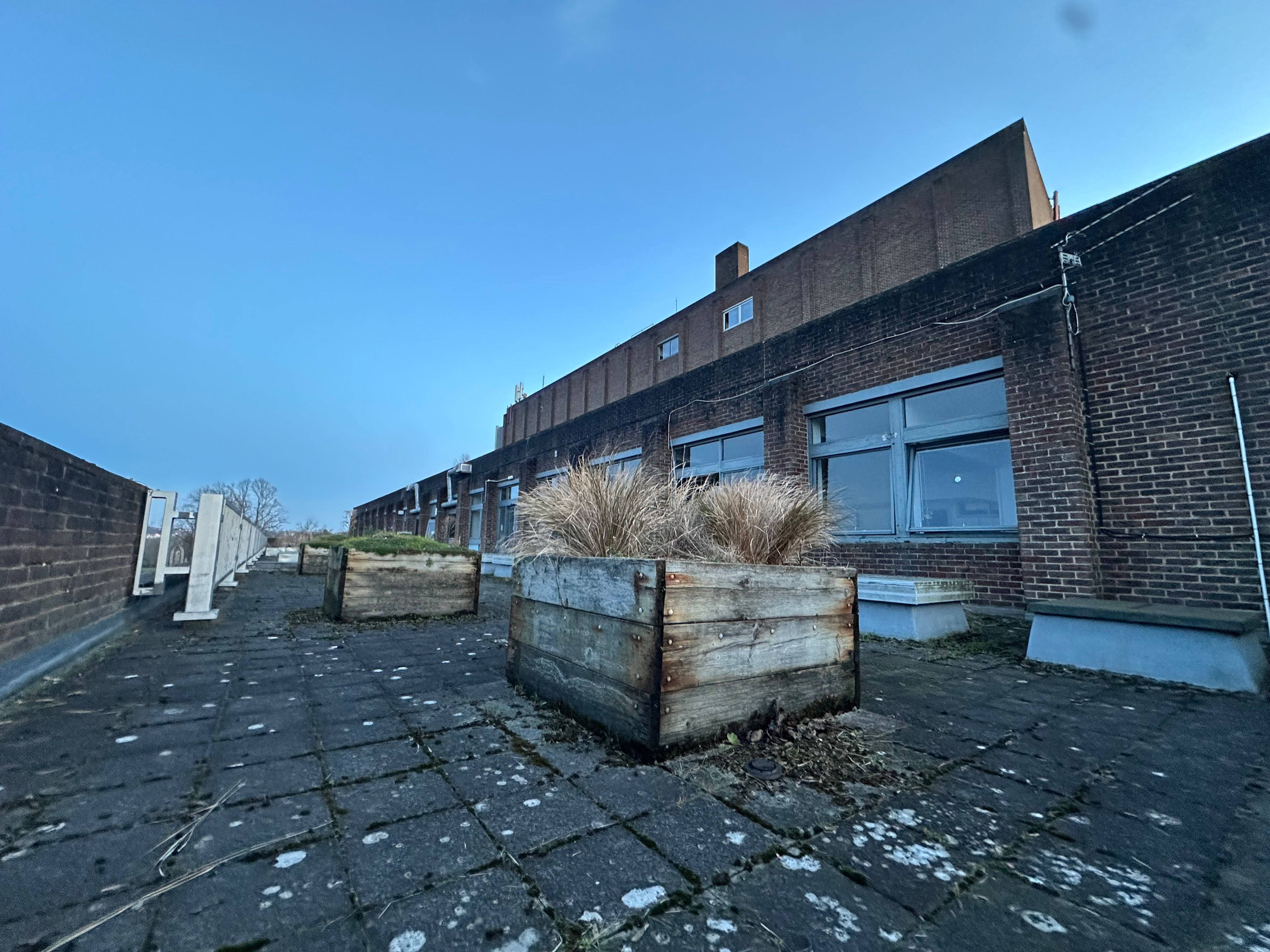 Cover Image for They never learn