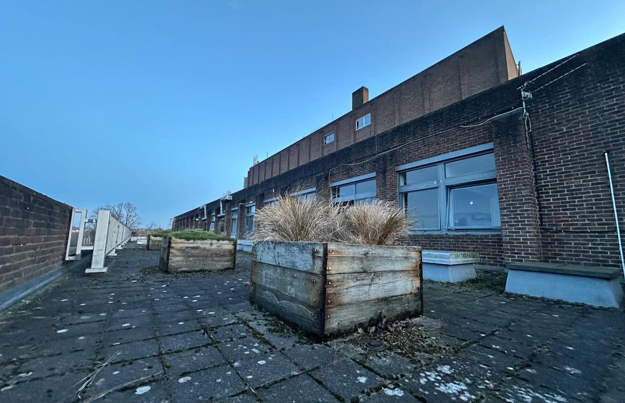 Cover Image for They never learn