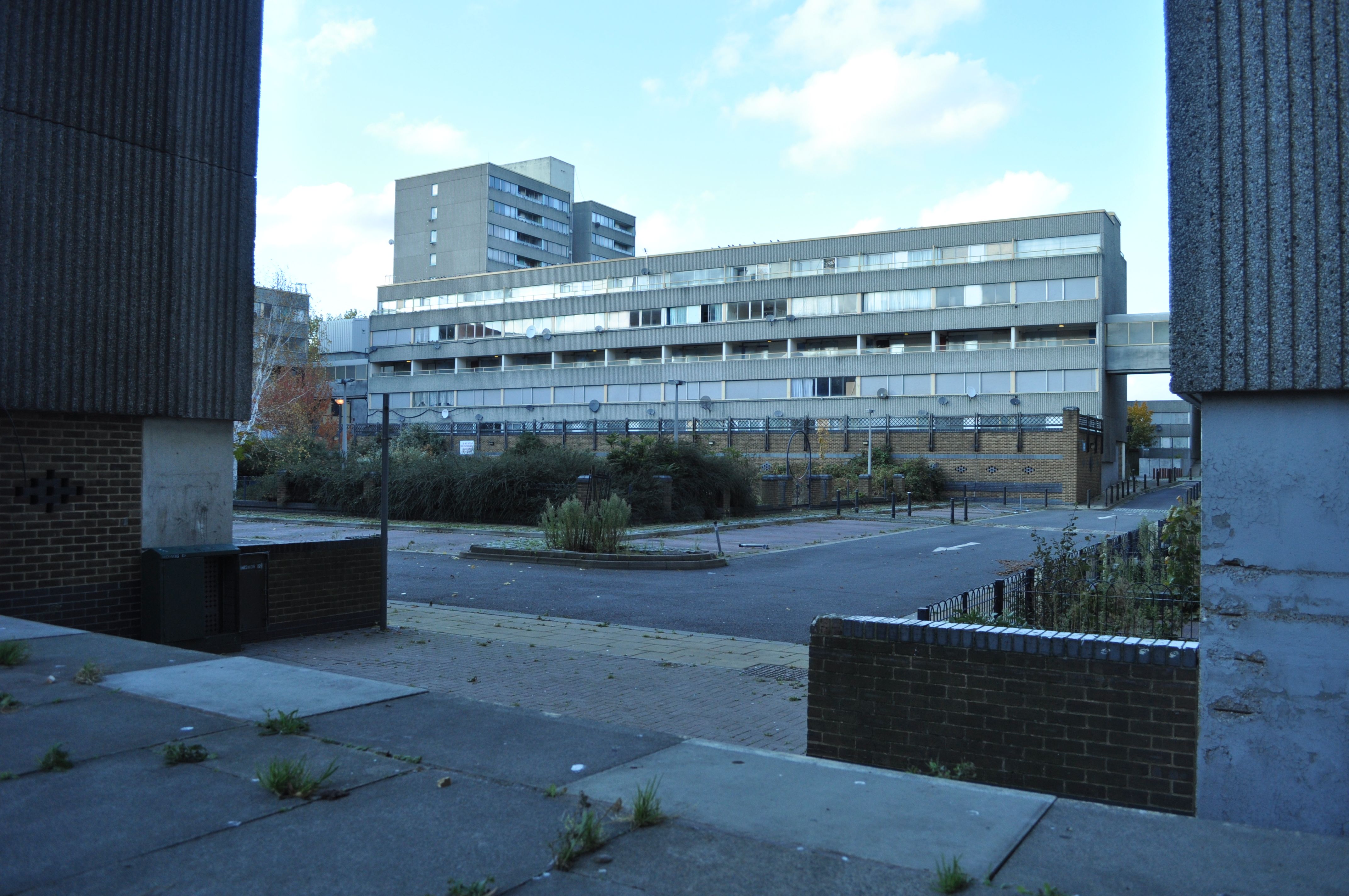 Cover Image for Stay brutal