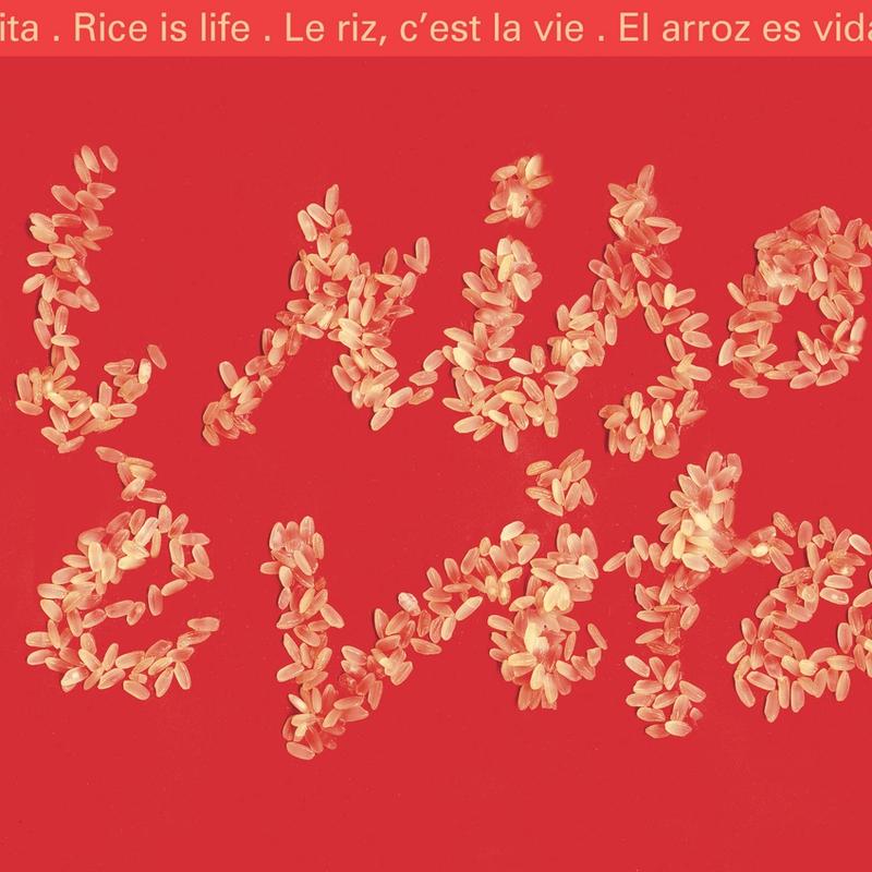 Il Riso è Vita · Rice Is Life: poster
