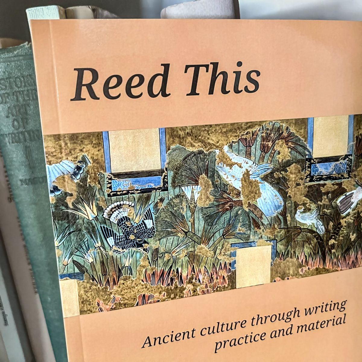 “ReedThis” Book Cover