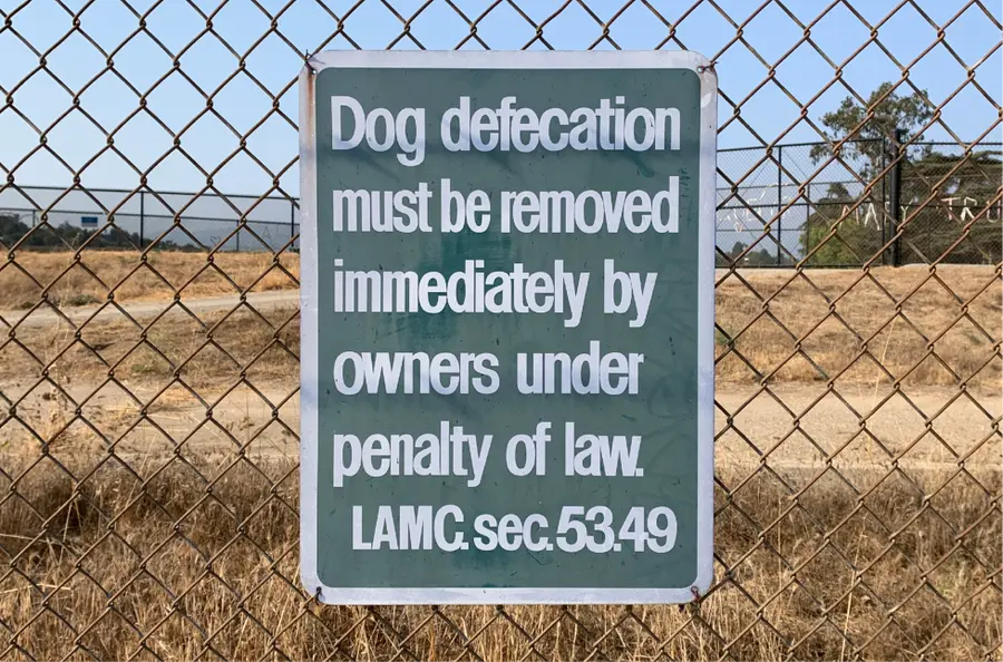 Designing Owners: Taking inspiration from the dynamic energy of handmade signage in the International Style as seen around Los Angeles.