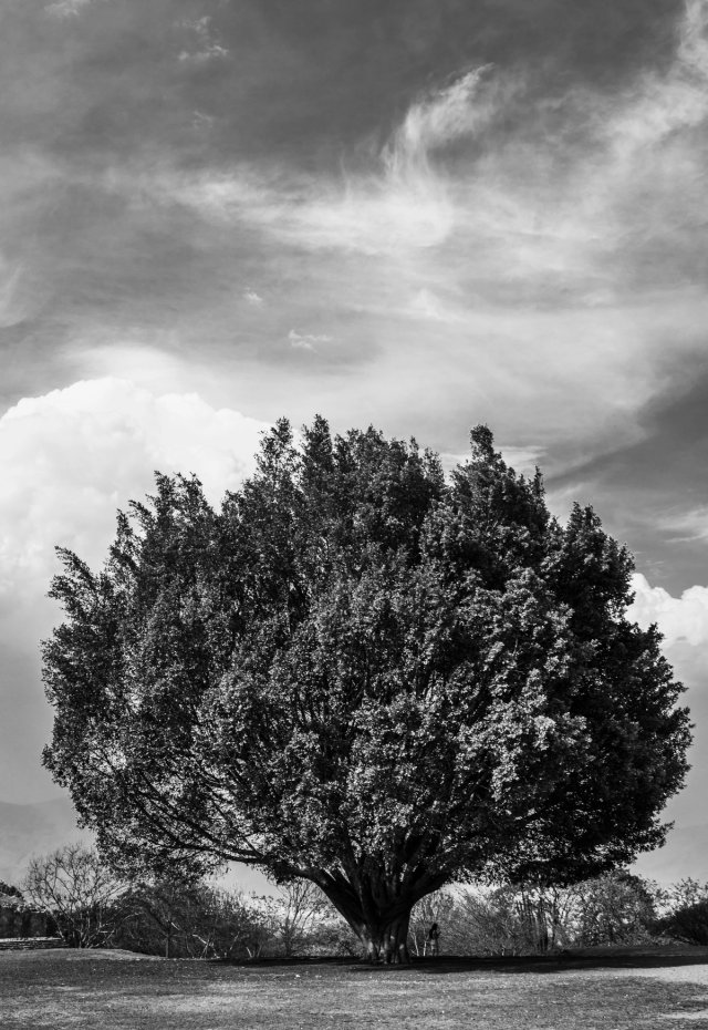 Paisajes 021 · 2017-PAI-0021