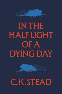 In the Half Light of a Dying Day