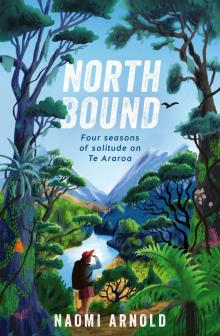 Northbound: Four Seasons of Solitude on Te Araroa