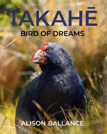 Takahē: Bird of Dreams