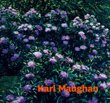 Karl Maughan