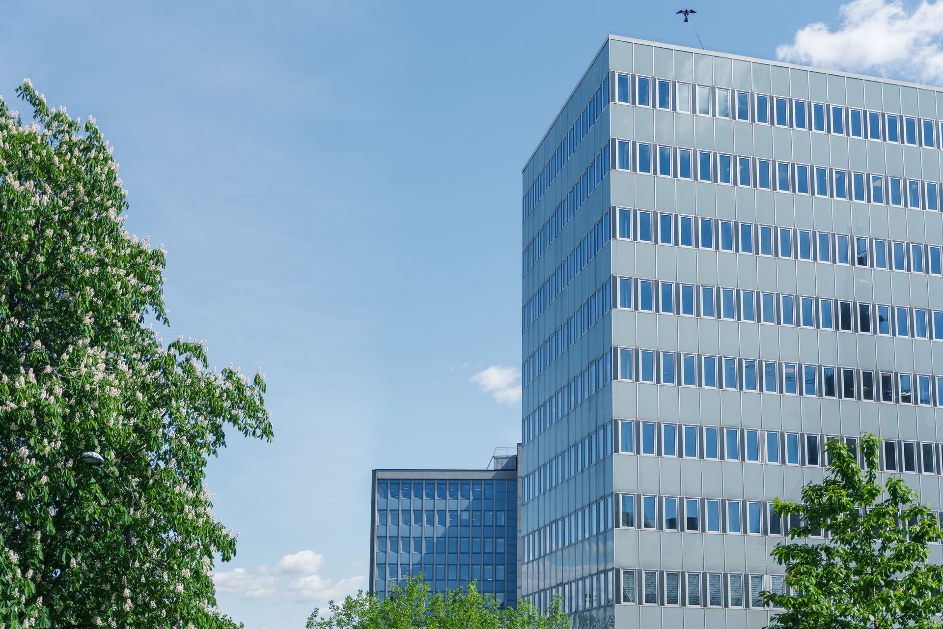 HK Hammersborg_Fasade 3_2026