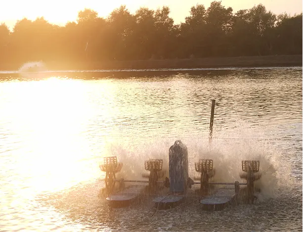 Industrial LoRaWAN sensors operating in harsh outdoor aquaculture conditions