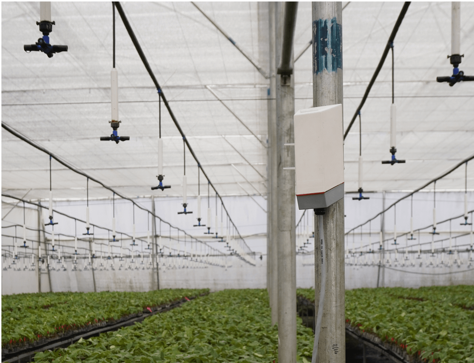 FreshMart’s Smart Farming Revolution