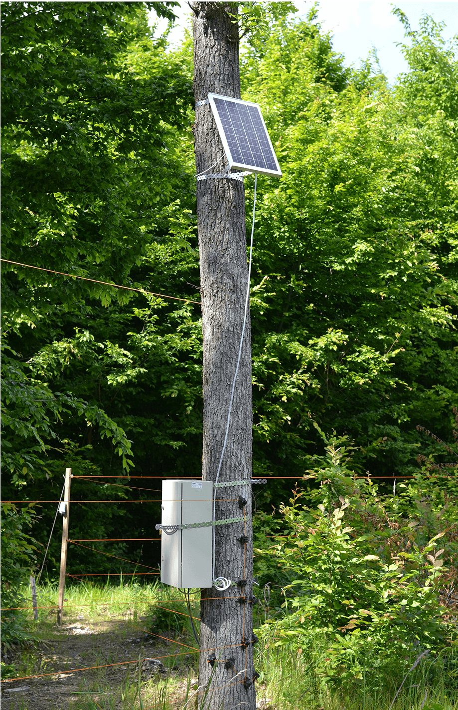 RS485 sensor connected to MacSync controller for long conveyor belt condition monitoring