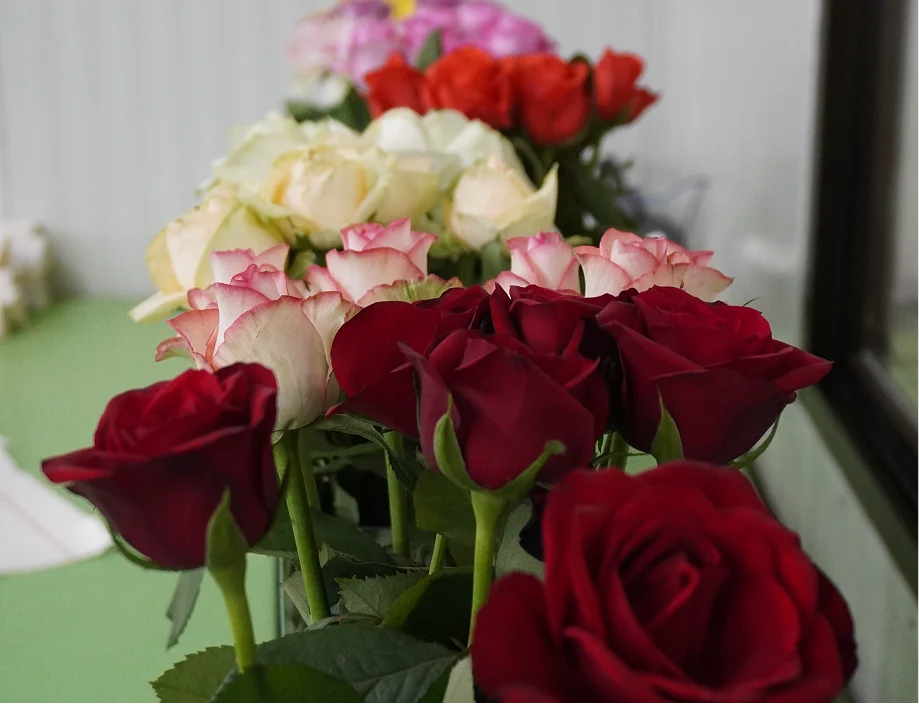 IoT LoRaWAN cold storage monitoring architecture improving reliability and reducing data gaps