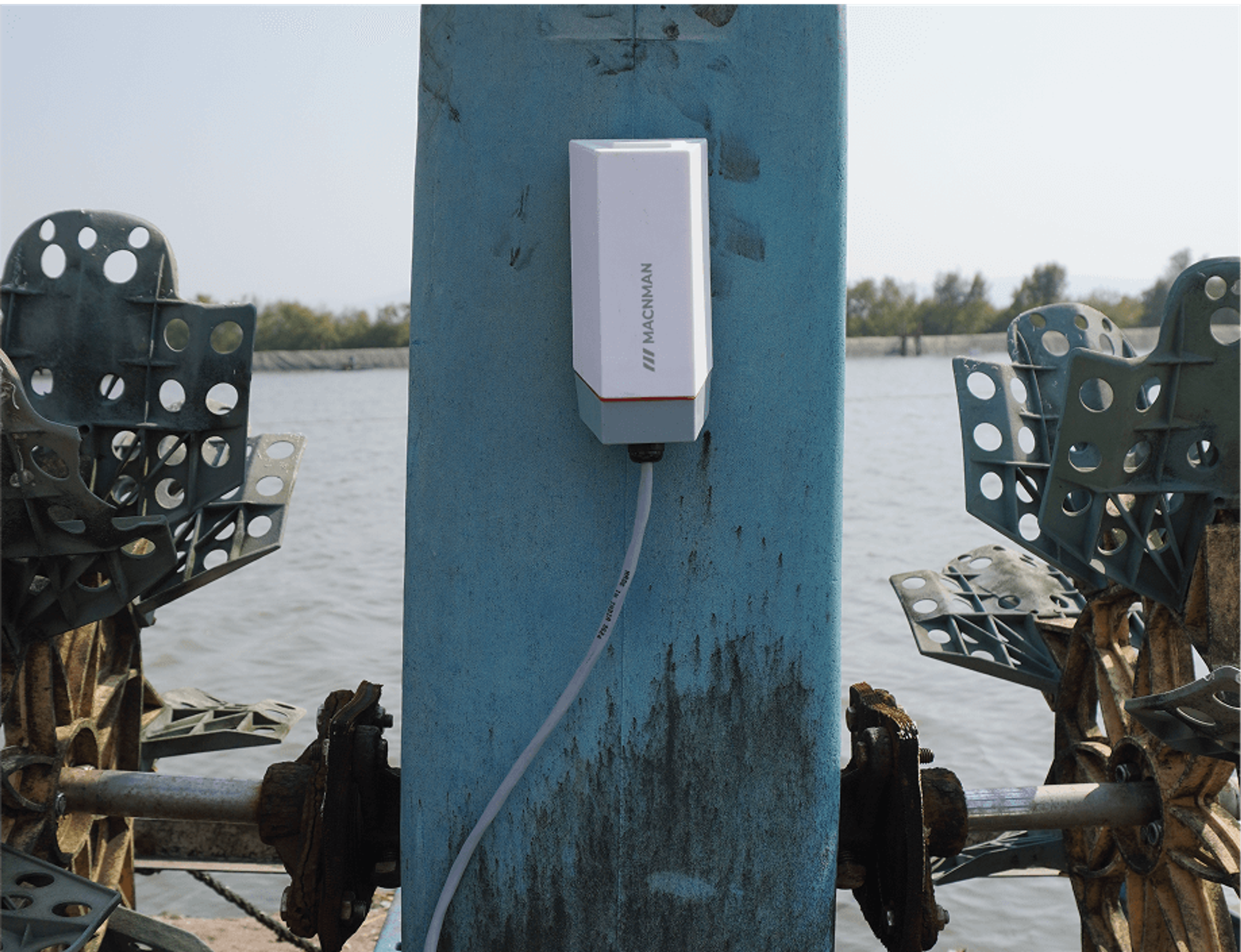 Building the Future of Smart Aquaculture with LoRaWAN and Edge Intelligence