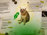 CASHCAT Explodes 1,700% in 24 Hours: Robinhood Chain's First Viral Memecoin