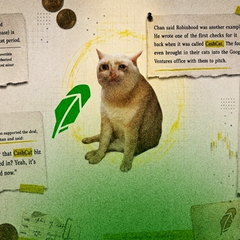 CASHCAT Explodes 1,700% in 24 Hours: Robinhood Chain's First Viral Memecoin