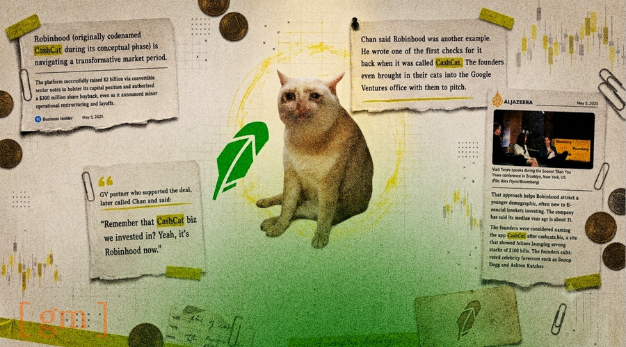 CASHCAT Explodes 1,700% in 24 Hours: Robinhood Chain's First Viral Memecoin