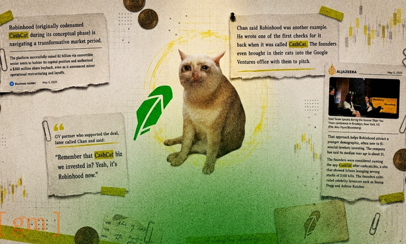 CASHCAT Explodes 1,700% in 24 Hours: Robinhood Chain's First Viral Memecoin