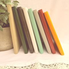 Bible journal