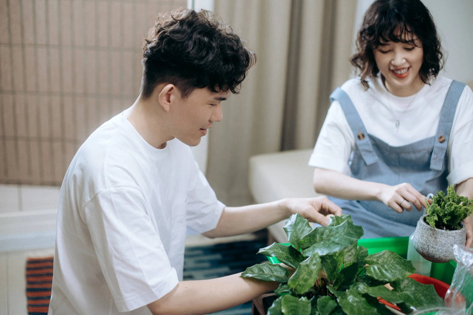 Most Lovely Things / Jason & Pei