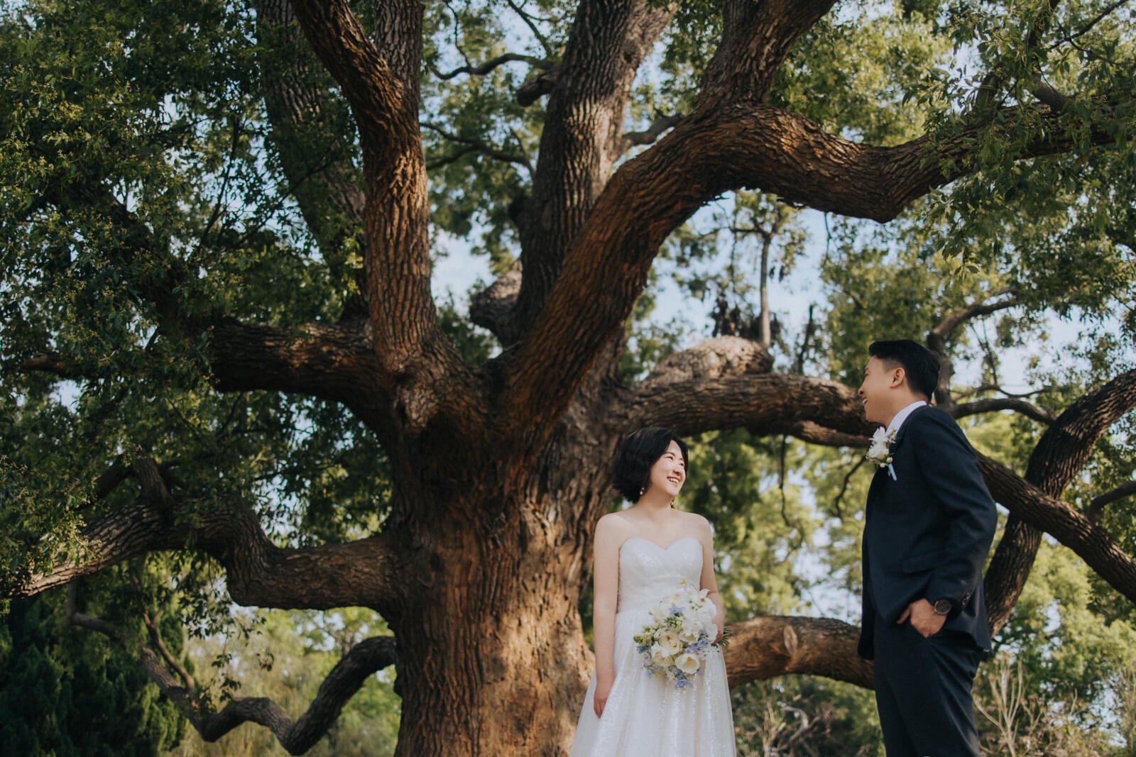愛情婚紗 / Shieng & Ying