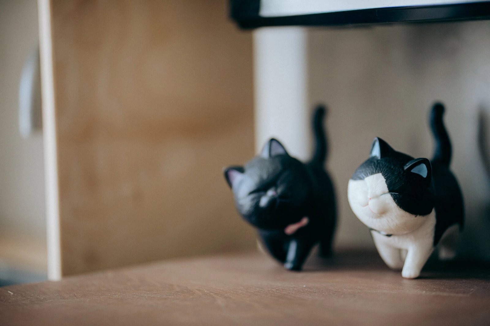 Most Lovely Things / Kemp & Eve
